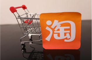 AI智能识别垃圾，让垃圾分类更简单——菜鸟先飞网络的创新实践